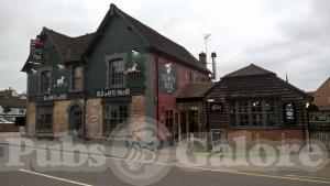 Picture of Old White Horse