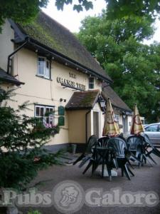 Picture of The Orange Tree