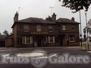 Picture of The Black Horse