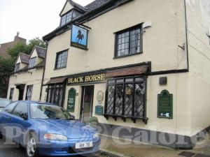 Picture of Black Horse