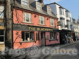 Picture of The Blackbirds