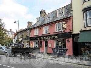 Picture of The Blackbirds