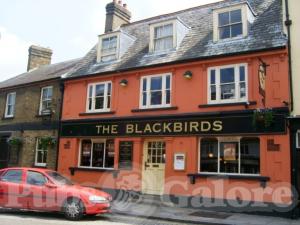 Picture of The Blackbirds