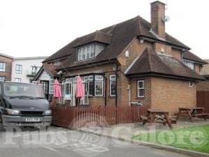 Picture of Golden Griffin