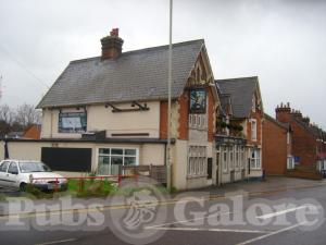 Picture of The Nightingale