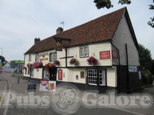 Picture of The Golden Lion