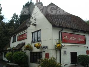 Picture of The White Horse