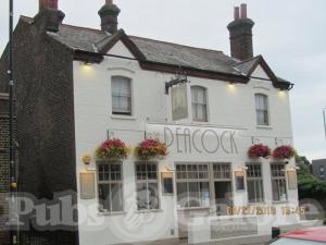 Picture of The Peacock