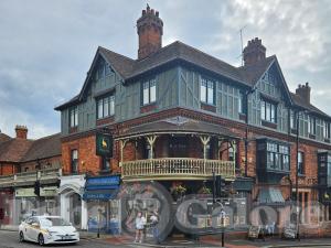 Picture of The Peahen