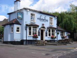 Picture of White Hart Tap