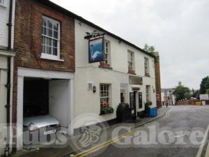 Picture of The White Swan