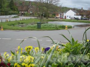 Picture of The Greyhound