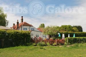 Picture of The White Lion