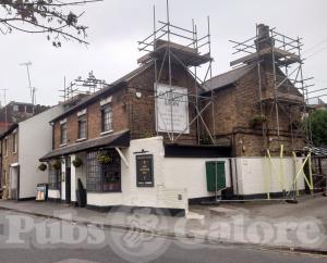Picture of The Golden Lion
