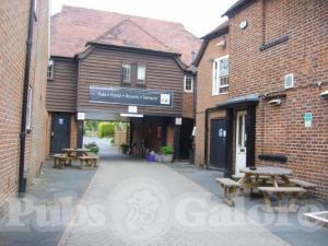 Picture of The Oak