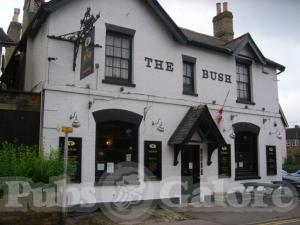 Picture of The Bush