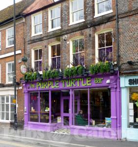 Picture of The Purple Turtle