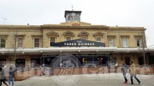 Picture of The Three Guineas