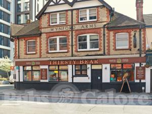 Picture of Thirsty Bear