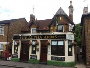 Picture of The Alpha Arms