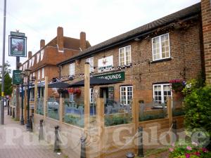 Picture of Stag & Hounds