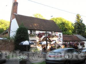 Picture of The White Horse