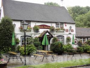 Picture of The White Horse