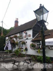 Picture of The White Horse