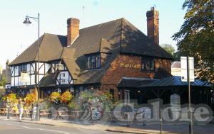 Picture of Royal Oak