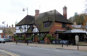 Picture of Royal Oak