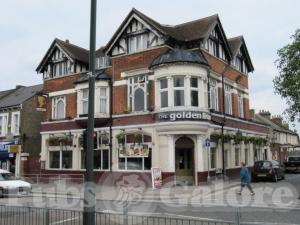 Picture of Golden Lion