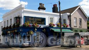 Picture of The Lord Holmesdale