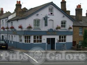 Picture of The Oak