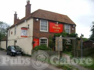 Picture of The Golden Lion
