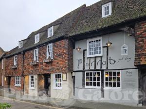 Picture of The Parrot