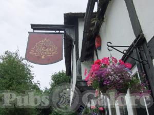 Picture of Ye Olde Yew Tree Inn