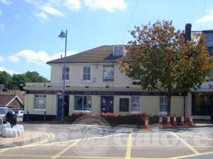 Picture of Hen & Chickens