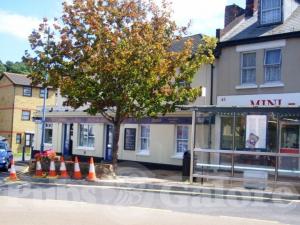 Picture of Hen & Chickens