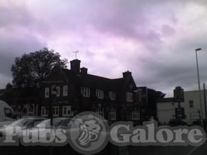 Picture of The Old Ash Tree