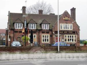 Picture of The Old Ash Tree