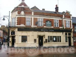 Picture of The White Lion