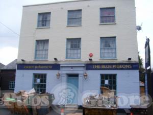 Picture of The Blue Pigeons