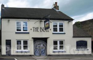 Picture of The Bull