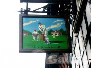 Picture of The Cricketers