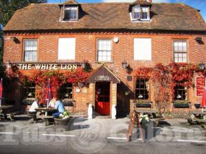Picture of The White Lion
