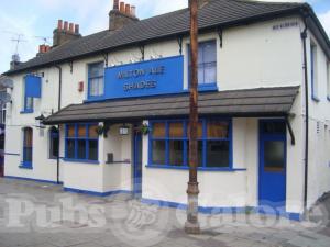 Picture of Milton Ale Shades