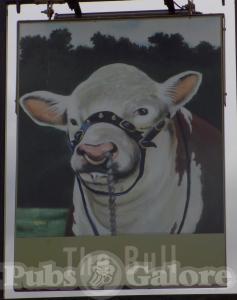 Picture of The Bull