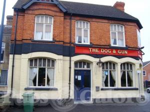Picture of The Dog & Gun