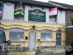 Picture of Fant Arms