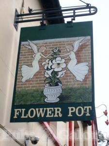 Picture of The Flower Pot